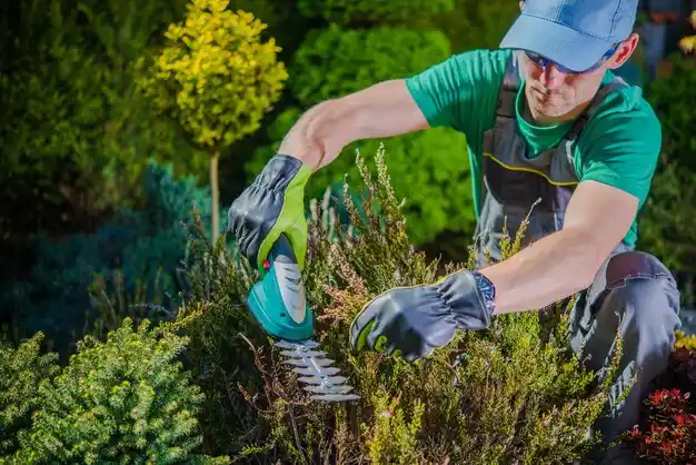 landscaping services Bethel
